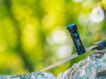 Ліхтар Olight Seeker 4 Mini NW Black