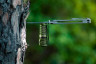 Ліхтар Olight Perun 2 Mini Od Green